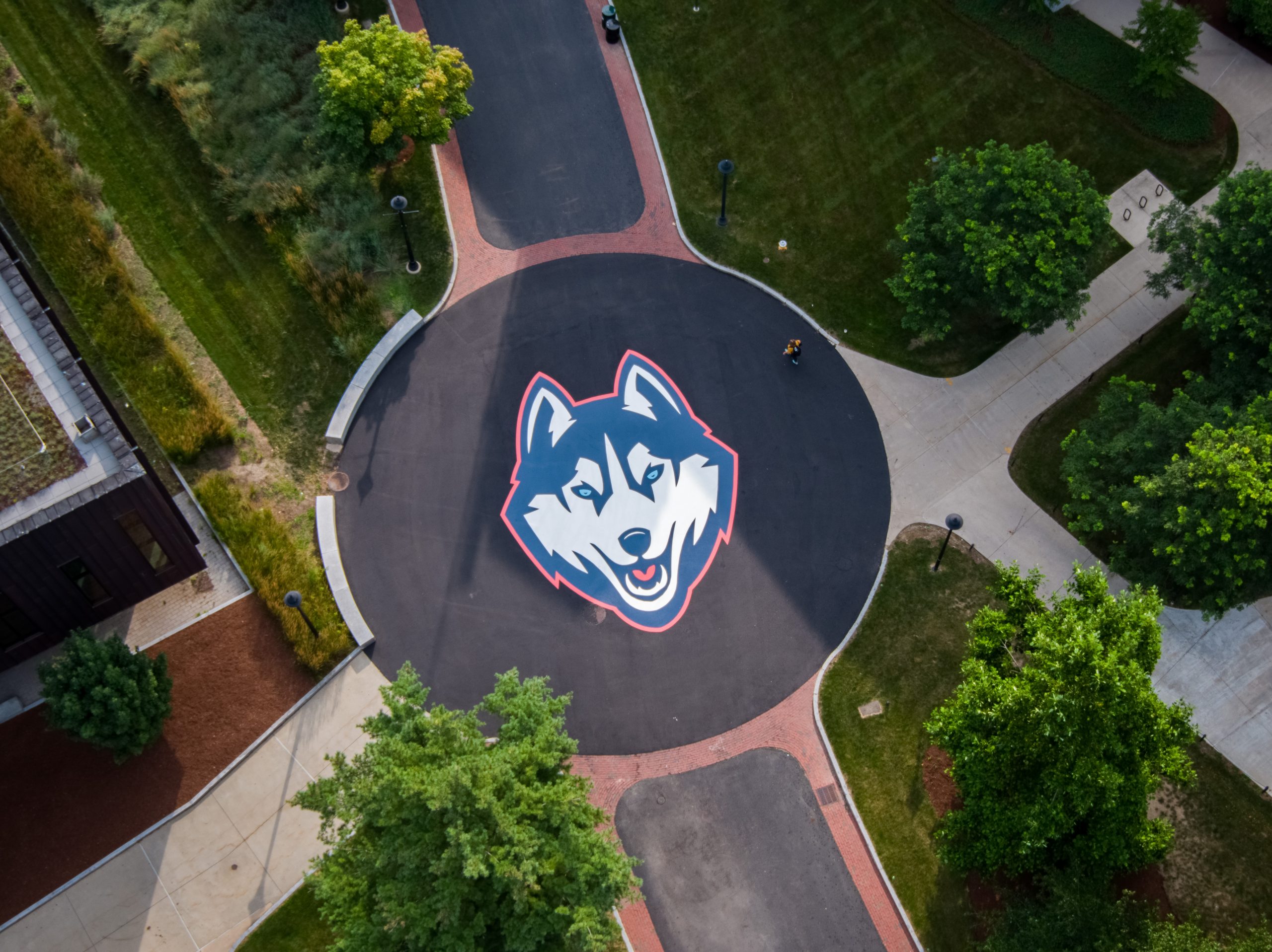 The husky dog logo painted on Fairfield Way viewed from above on Aug. 11, 2021. (Peter Morenus/UConn Photo)