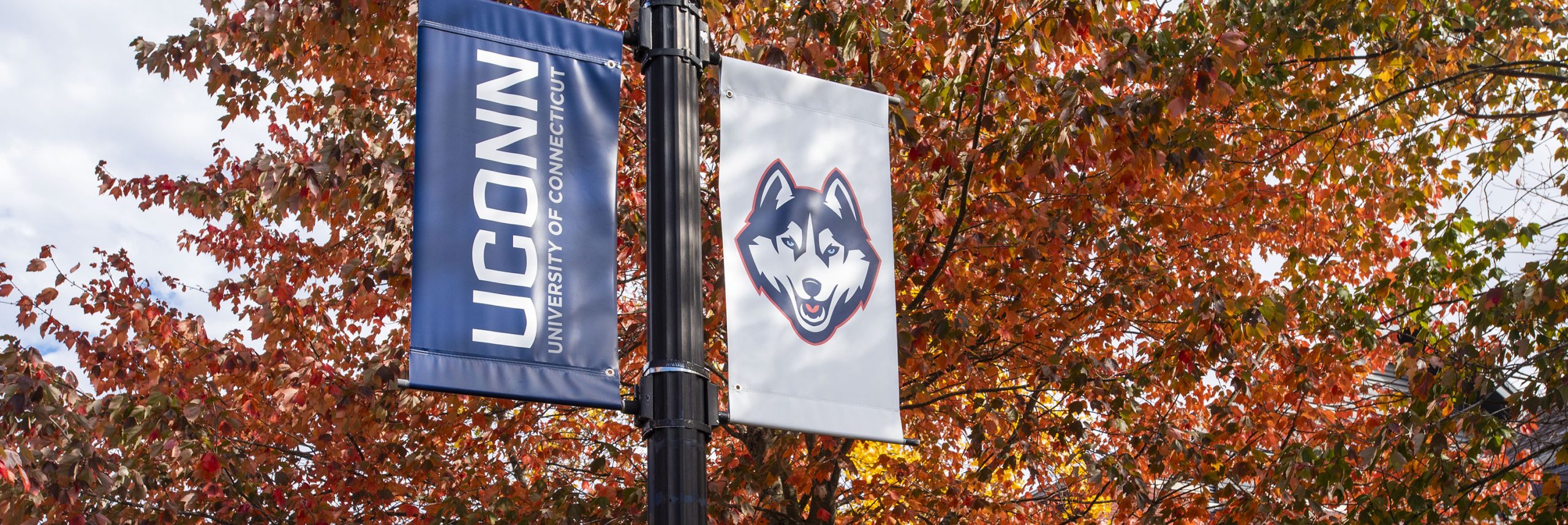 Lamppost banners with the UConn and husky dog logos