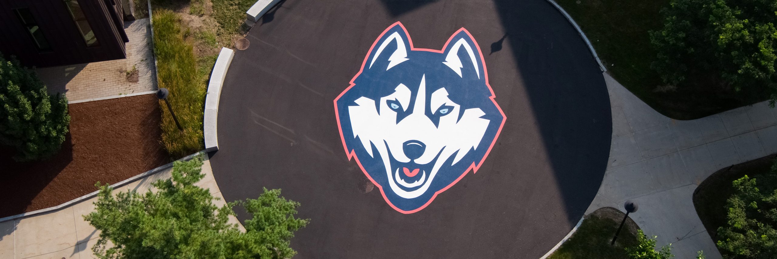Aerial view of the Husky dog logo painted on Fairfield Way