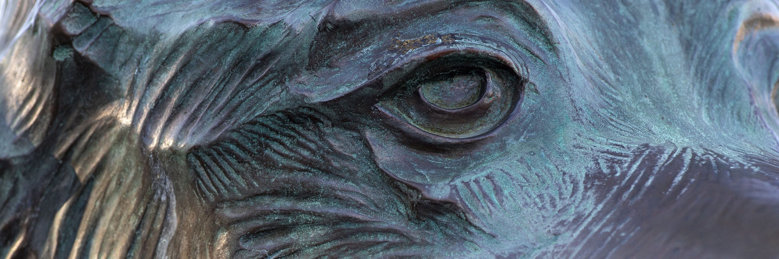 Close-up of the Jonathan the husky statue